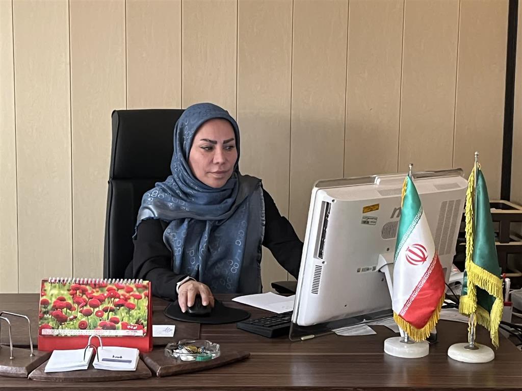 جلسه وبینار هم‌اندیشی در خصوص ساماندهی و رتبه‌بندی صندوق‌های اعتبارات خرد